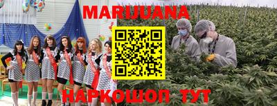 тгк Камышлов